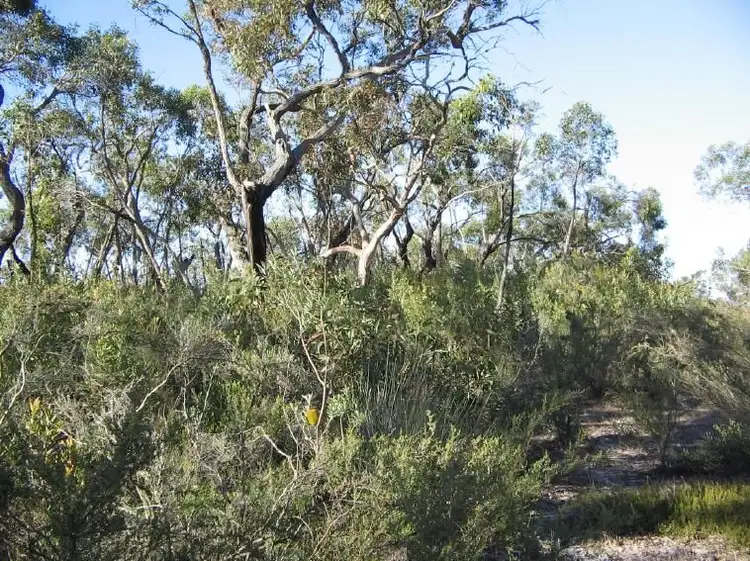 Third view of Homely rural property listing, Section 50 Mundulla/Padthaway Road, Padthaway SA 5271