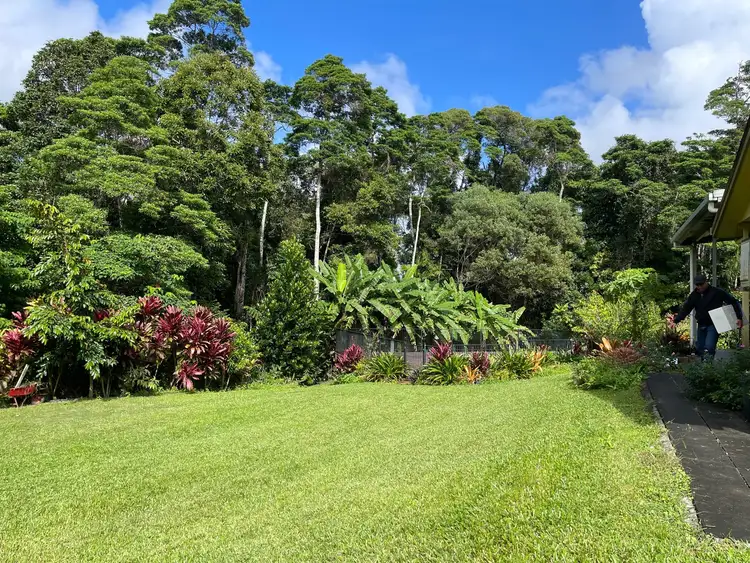 Fifth view of Homely house listing, 61 Butler Drive, Kuranda QLD 4881