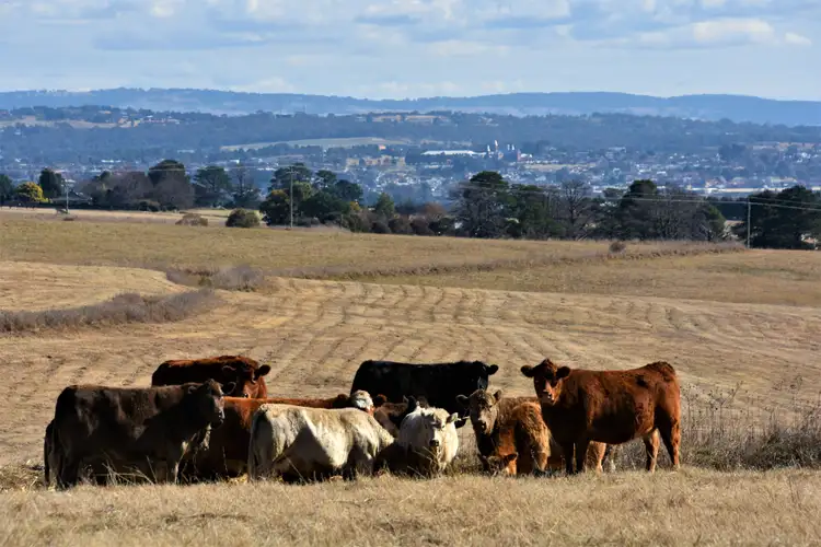 Second view of Homely rural property listing, 3880 O'Connell Road, Kelso NSW 2795