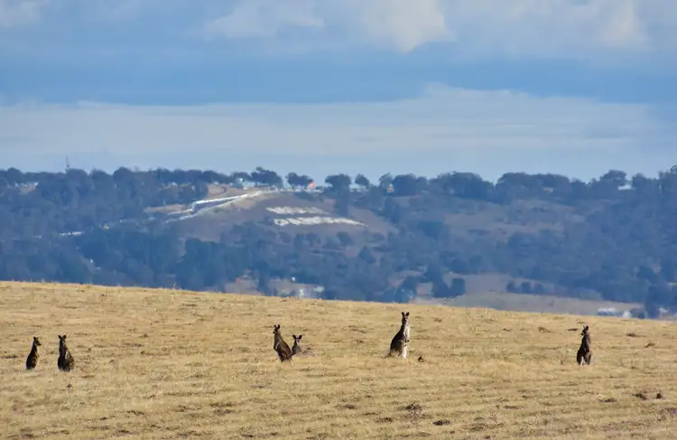 Fourth view of Homely rural property listing, 3880 O'Connell Road, Kelso NSW 2795