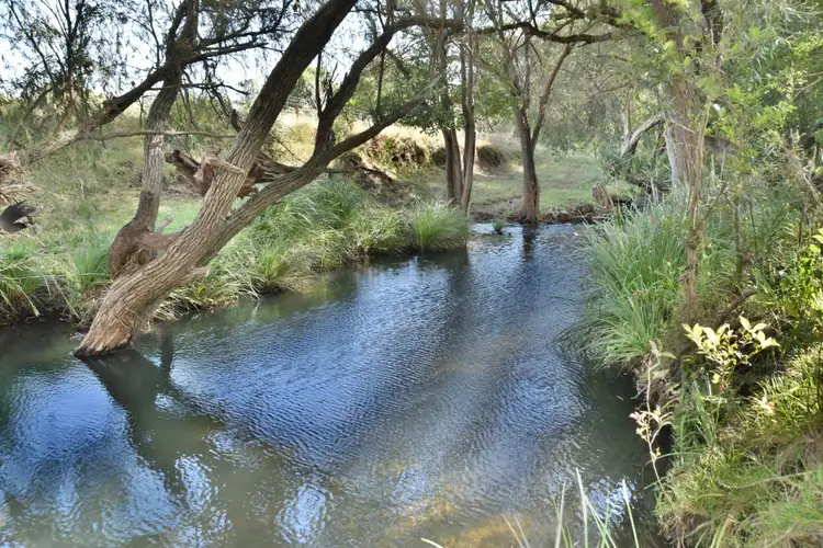 Third view of Homely rural property listing, 347 Mundoolun Connection Road, Boyland QLD 4275