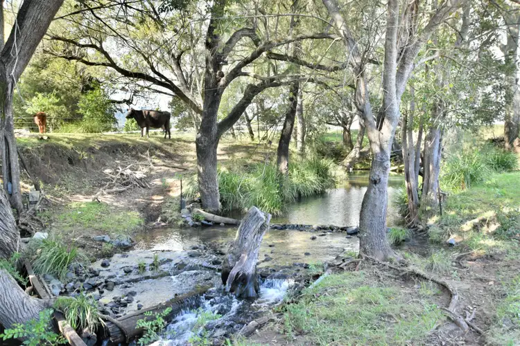 Fourth view of Homely rural property listing, 347 Mundoolun Connection Road, Boyland QLD 4275