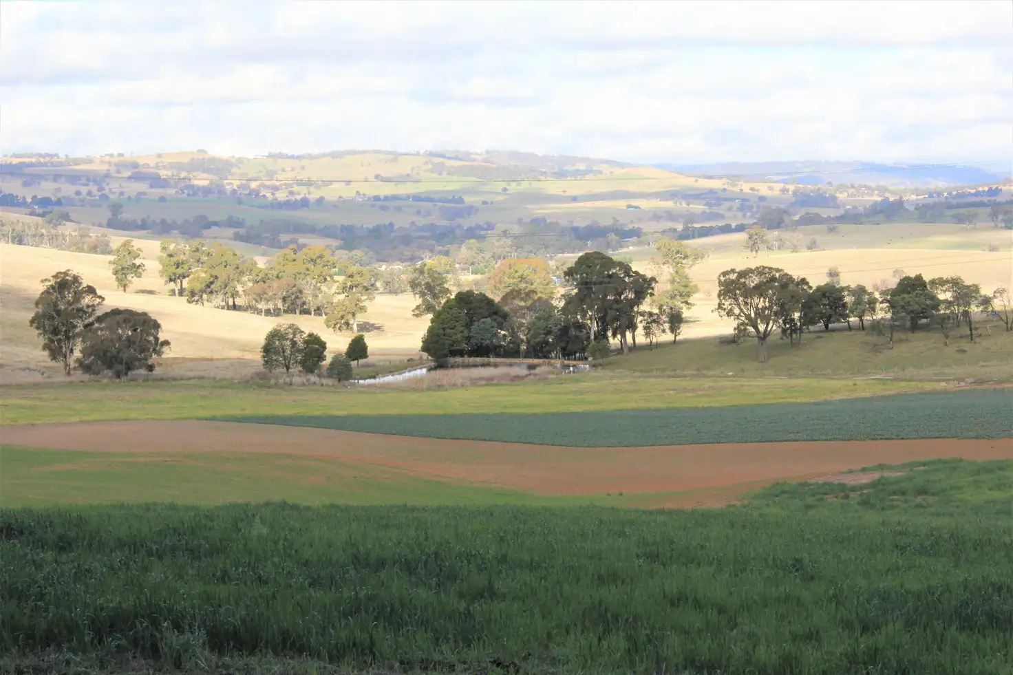 Main view of Homely rural property listing, Lot 64 Sunny Corner Road, Meadow Flat NSW 2795