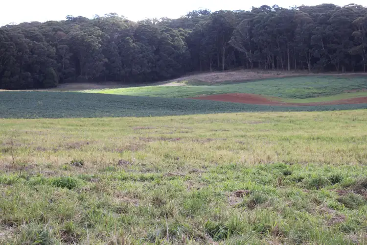 Fourth view of Homely rural property listing, Lot 64 Sunny Corner Road, Meadow Flat NSW 2795