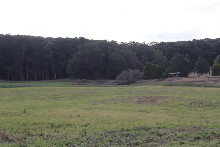 Fifth view of Homely rural property listing, Lot 64 Sunny Corner Road, Meadow Flat NSW 2795