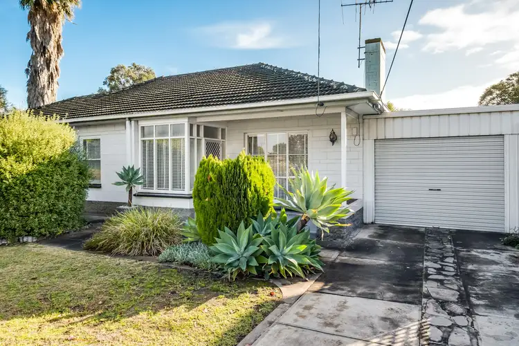 Main view of Homely house listing, 13 George Street, Marion SA 5043