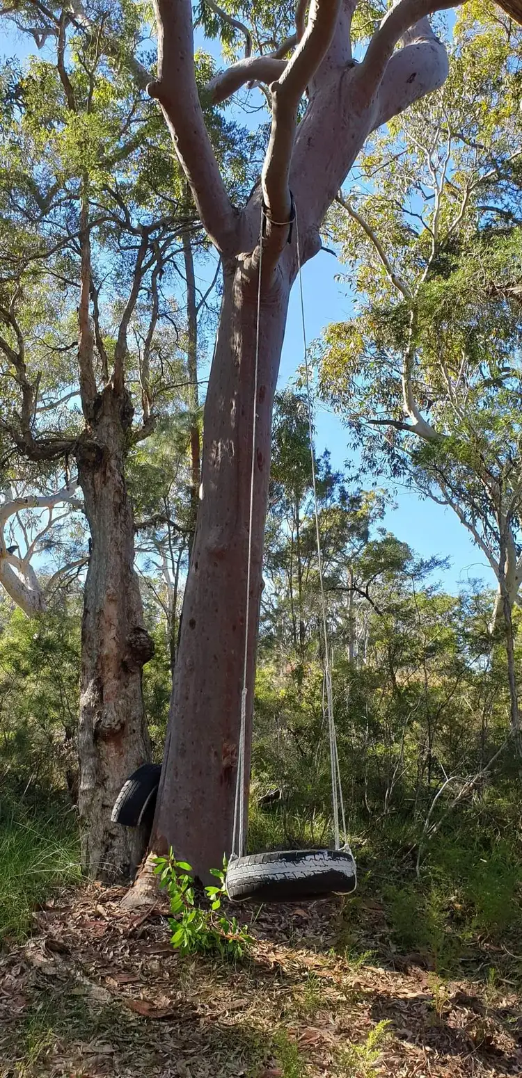 Seventh view of Homely land listing, 31 Central Avenue, Bundabah NSW 2324