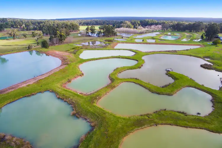 Fifth view of Homely house listing, 7397 Vasse Highway, Nannup WA 6275