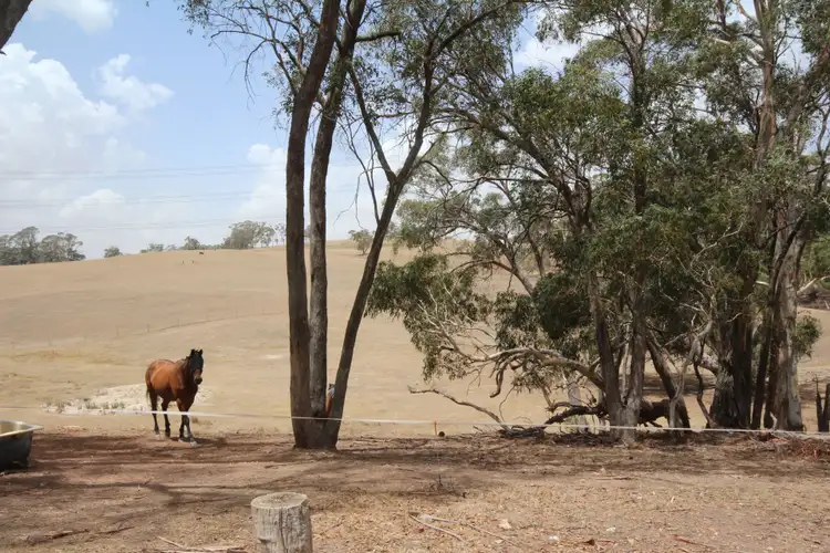 Fourth view of Homely rural property listing, 153 Sewells Creek Road, Oberon NSW 2787