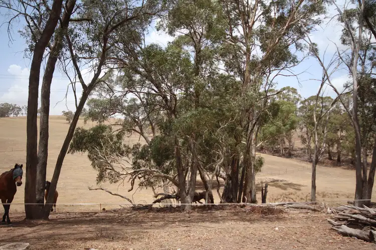 Fifth view of Homely rural property listing, 153 Sewells Creek Road, Oberon NSW 2787