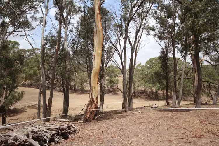 Seventh view of Homely rural property listing, 153 Sewells Creek Road, Oberon NSW 2787