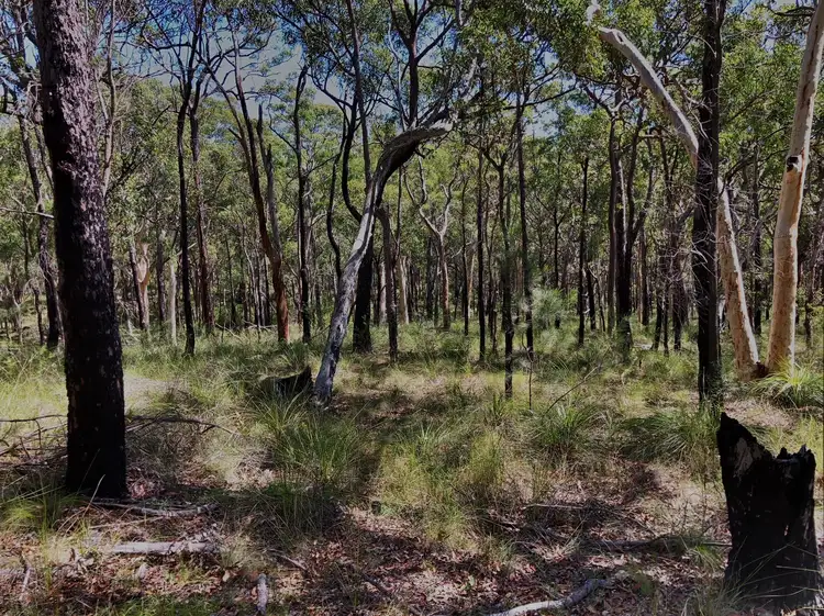 Fifth view of Homely land listing, 1 Fishery Point Road, Mirrabooka NSW 2264