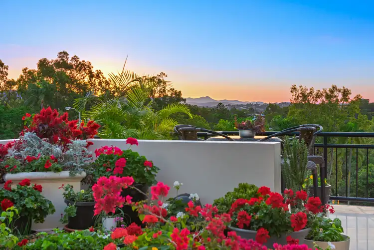 Main view of Homely apartment listing, 28/451 Gregory Terrace, Spring Hill QLD 4000