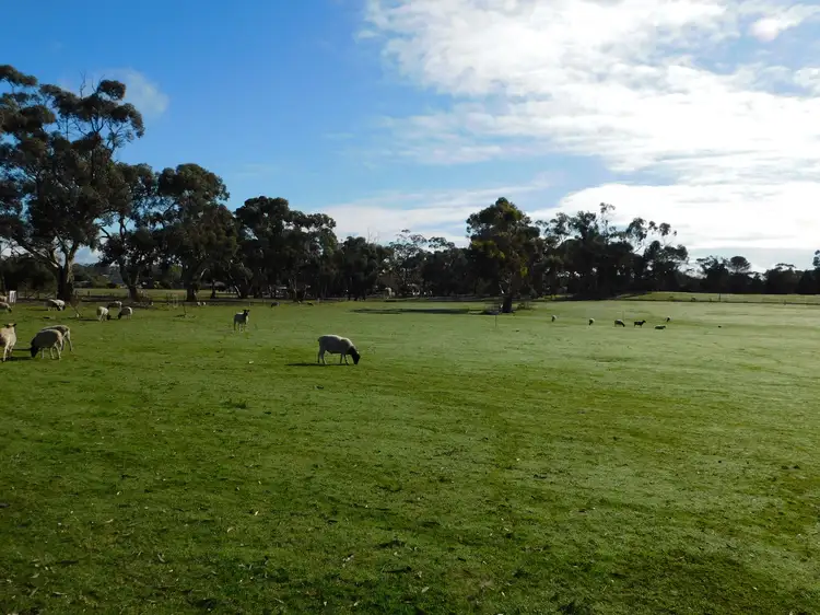 Fifth view of Homely land listing, Various Lots Western Drive, Bordertown SA 5268