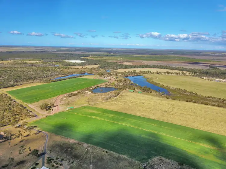 Seventh view of Homely rural property listing, 5 Wollombi Place, Elliott QLD 4670