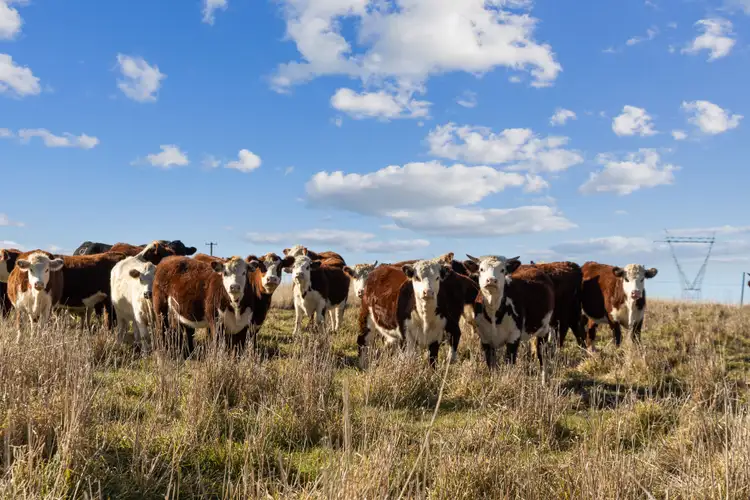 Fourth view of Homely land listing, "McCrystal" Lade Vale Road, Gunning NSW 2581