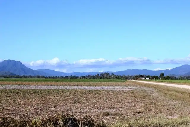 Main view of Homely rural property listing, Lot 1 Scotts Road, Lannercost QLD 4850