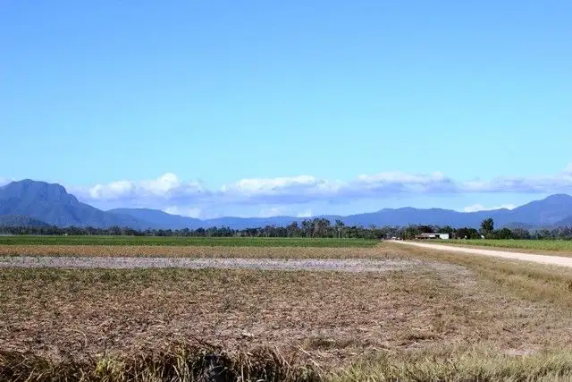 Main view of Homely rural property listing, Lot 1 Scotts Road, Lannercost QLD 4850