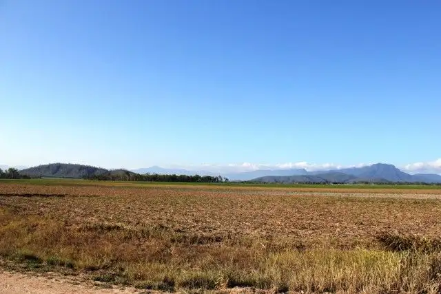 Sixth view of Homely rural property listing, Lot 1 Scotts Road, Lannercost QLD 4850