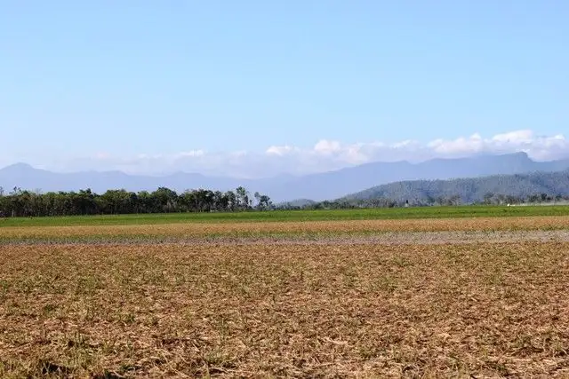 Seventh view of Homely rural property listing, Lot 1 Scotts Road, Lannercost QLD 4850