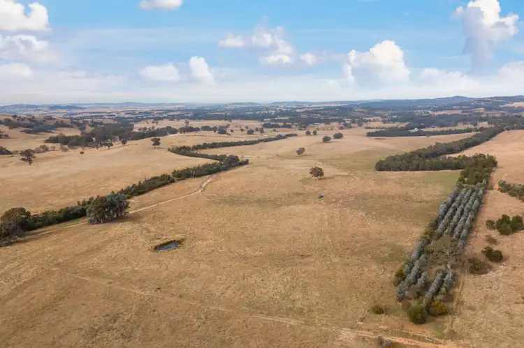 Sixth view of Homely house listing, 1647 Coolalie Road, Jerrawa NSW 2582