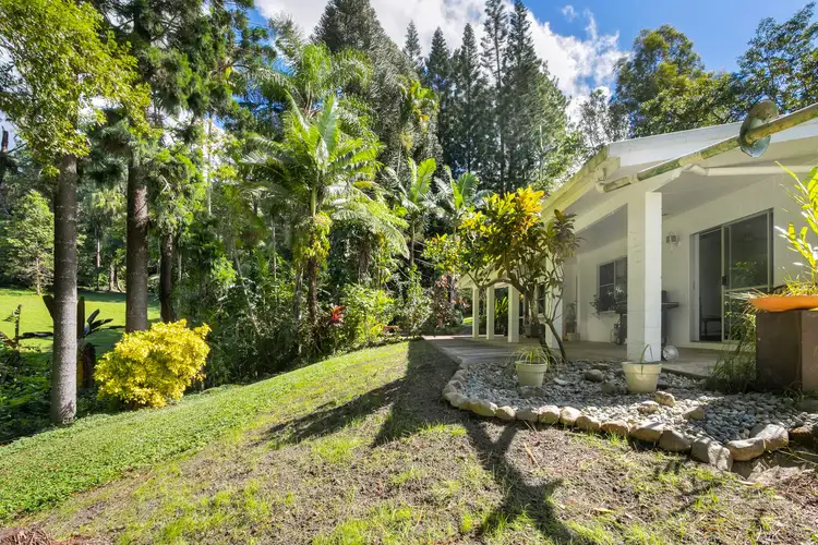 Main view of Homely house listing, 51 High Chapparal Road, Kuranda QLD 4881