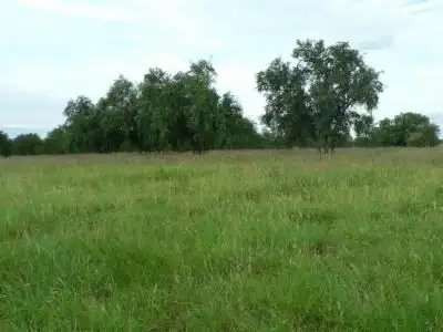 Main view of Homely land listing, Lot 2 Frames Lane, Blackall QLD 4472