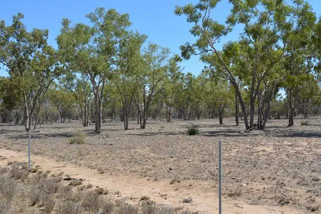 Fifth view of Homely land listing, Lot 2 Frames Lane, Blackall QLD 4472