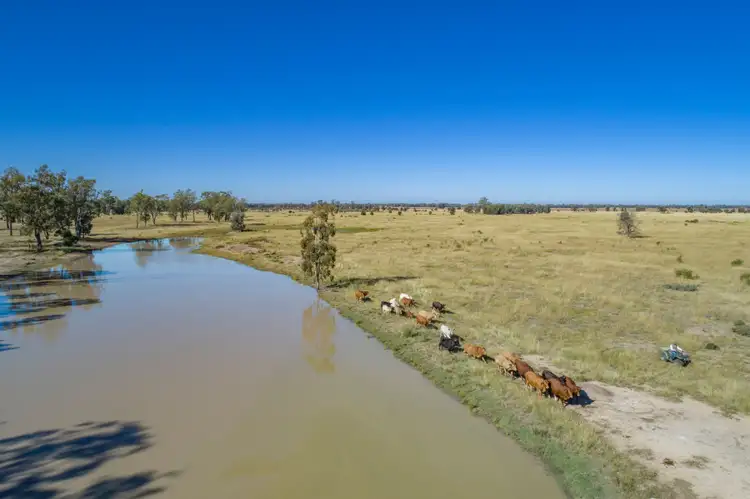 Third view of Homely rural property listing, 'Pine Hill', Chinchilla QLD 4413
