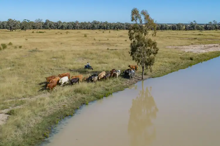 Seventh view of Homely rural property listing, 'Pine Hill', Chinchilla QLD 4413