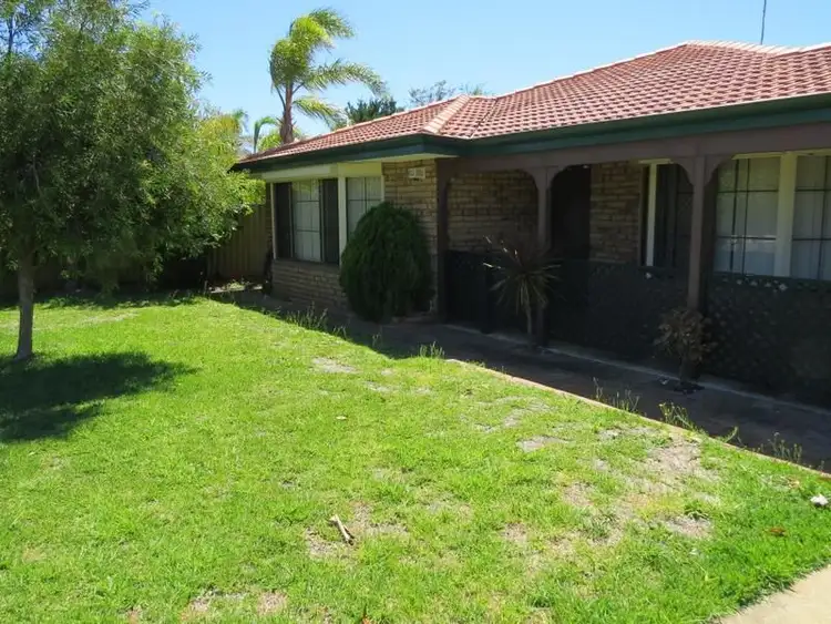 Second view of Homely house listing, 31 Lynda Crescent, Cooloongup WA 6168