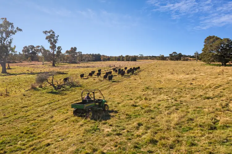 Sixth view of Homely rural property listing, 2258 Woodhouselee Road,, Goulburn NSW 2580