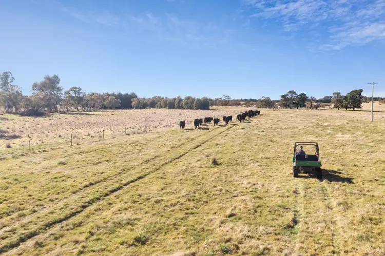 Seventh view of Homely rural property listing, 2258 Woodhouselee Road,, Goulburn NSW 2580