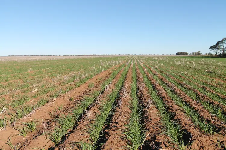 Fourth view of Homely rural property listing, 1340 Yulabilla Road, Condamine QLD 4416