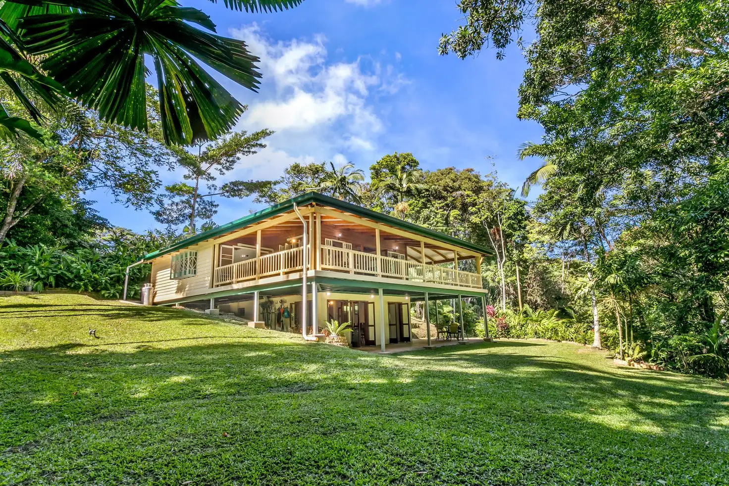 Main view of Homely house listing, 5 Ardmore Park Road, Kuranda QLD 4881