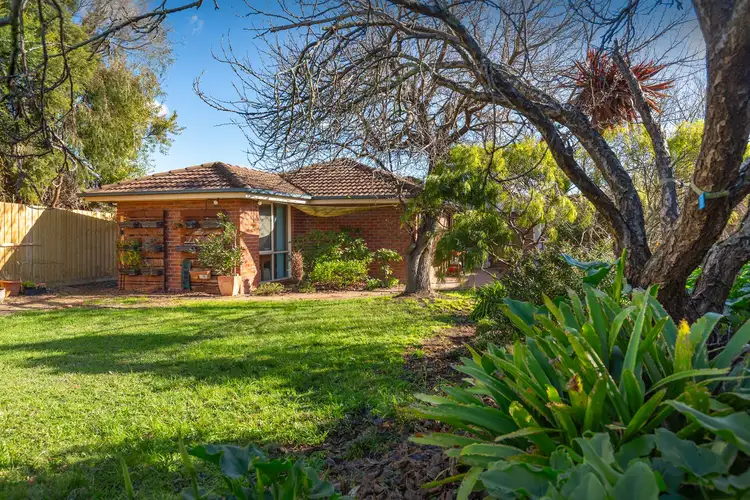 Second view of Homely house listing, 20 Lexcen Close, Berwick VIC 3806