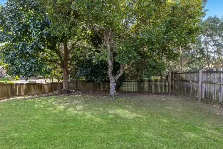 Third view of Homely house listing, 31 Currawong Drive, Birkdale QLD 4159