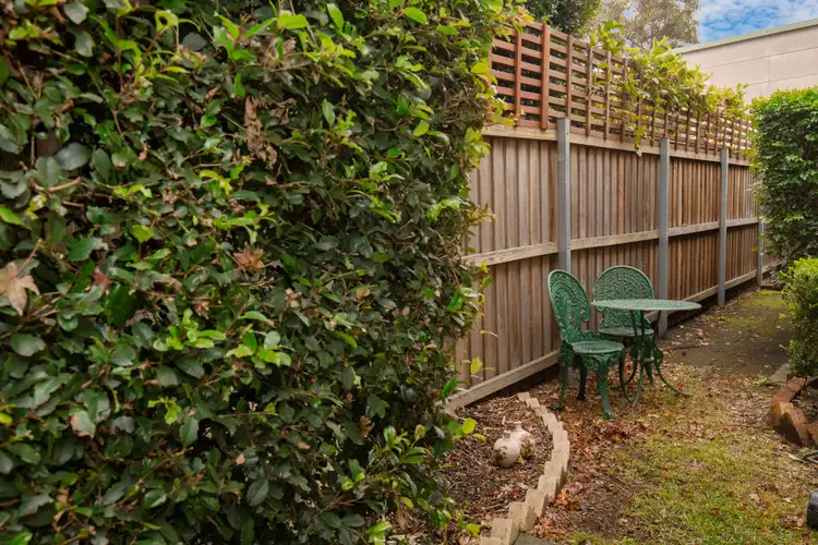 Fifth view of Homely house listing, 9 Chinchen Street, Islington NSW 2296
