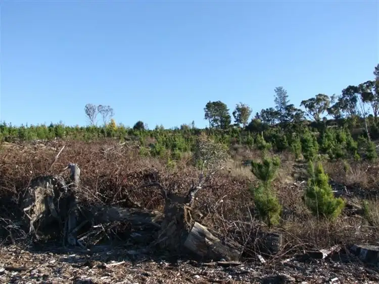 Sixth view of Homely rural property listing, 1327 Swallows Nest Road, Oberon NSW 2787