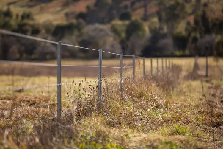 Fifth view of Homely land listing, 49 Inces Road, Armidale NSW 2350