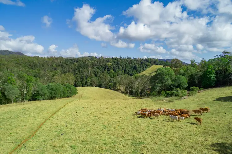 224 Upper Eel Creek Road, Langshaw QLD 4570