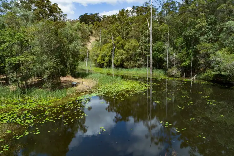 Fifth view of Homely rural property listing, 224 Upper Eel Creek Road, Langshaw QLD 4570