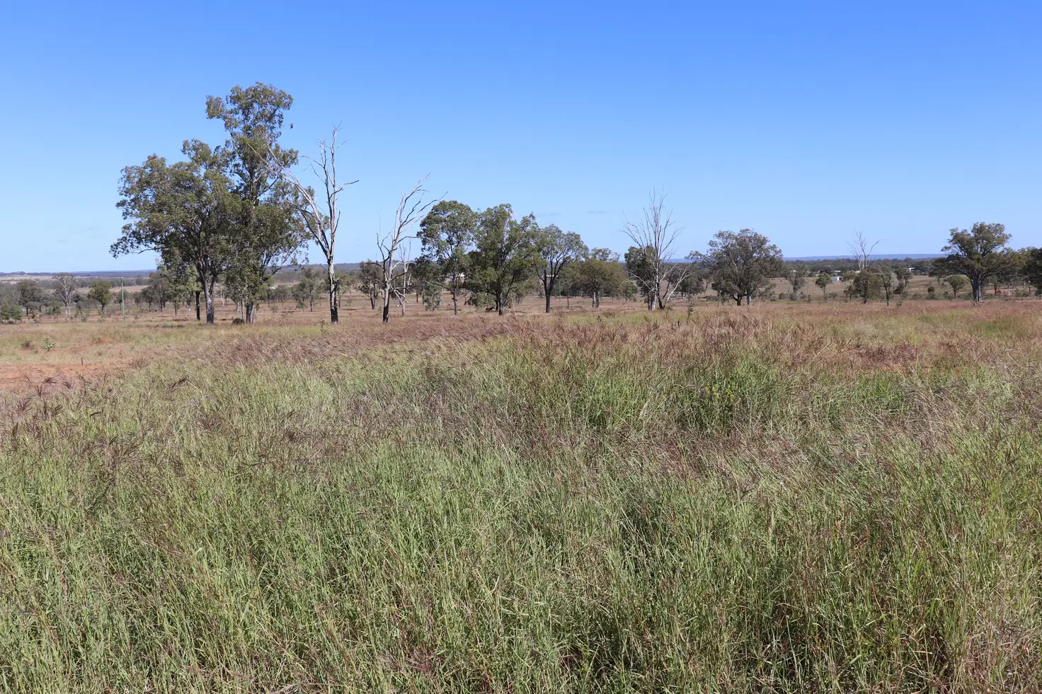 Main view of Homely rural property listing, Lot 18 Benhams Road, Mundubbera QLD 4626