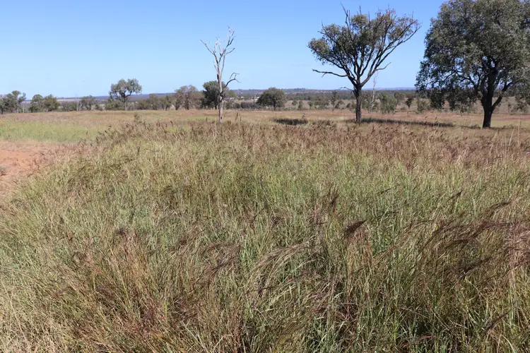 Third view of Homely rural property listing, Lot 18 Benhams Road, Mundubbera QLD 4626