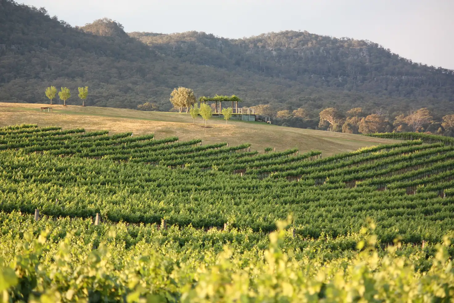 Main view of Homely rural property listing, 2 Yarrawa Road, Denman NSW 2328