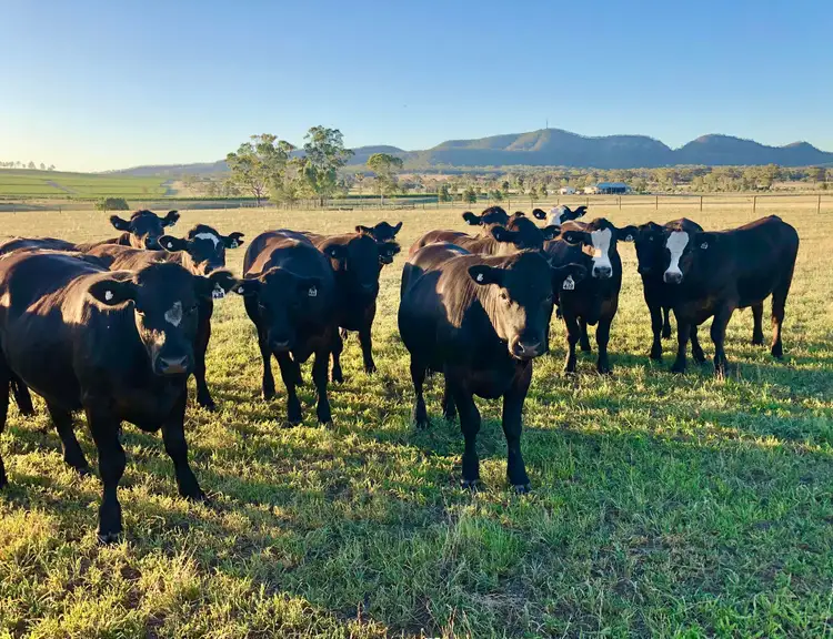 Fifth view of Homely rural property listing, 2 Yarrawa Road, Denman NSW 2328