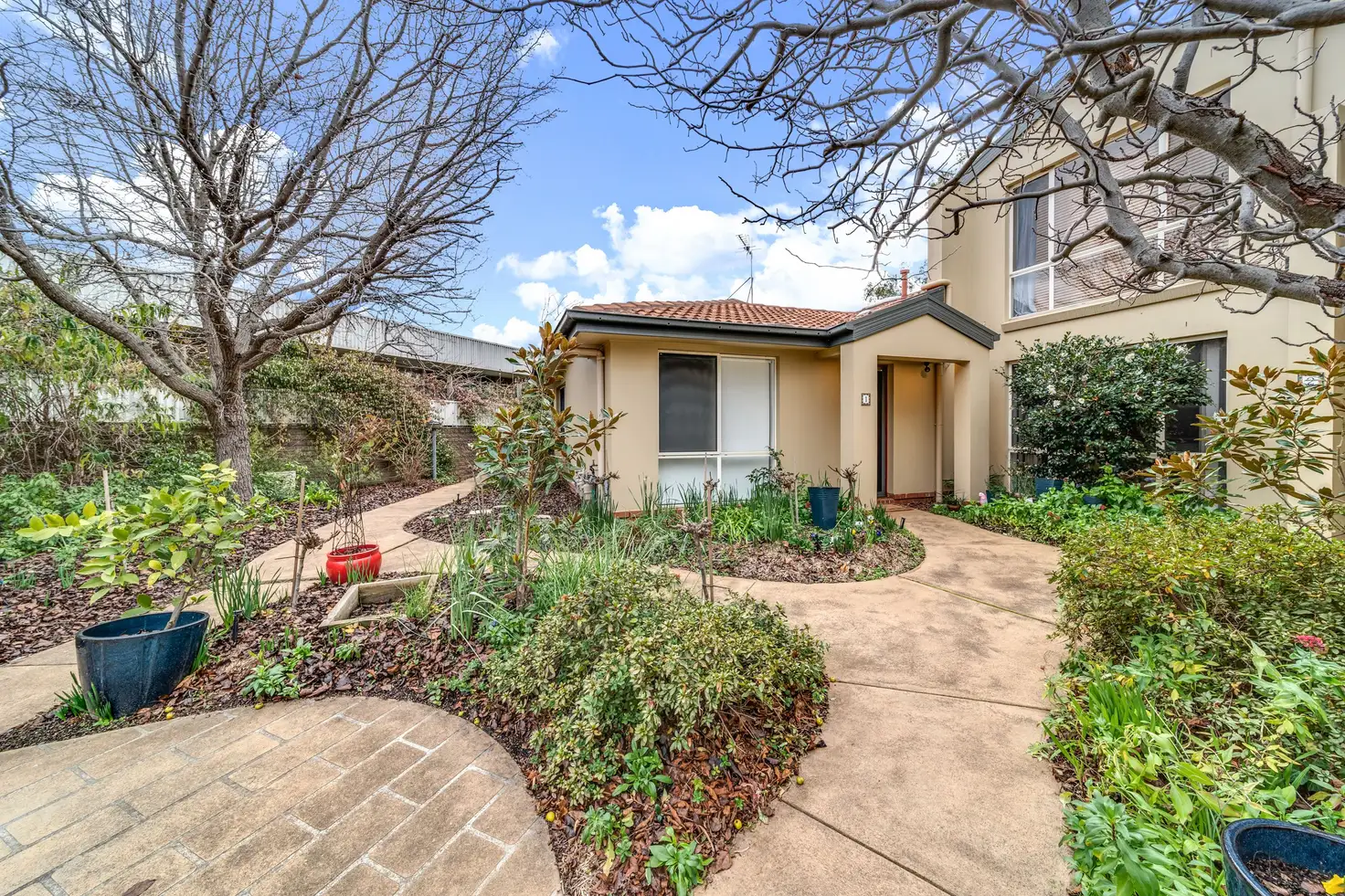 Main view of Homely house listing, 1/81 Lachlan Street, Macquarie ACT 2614
