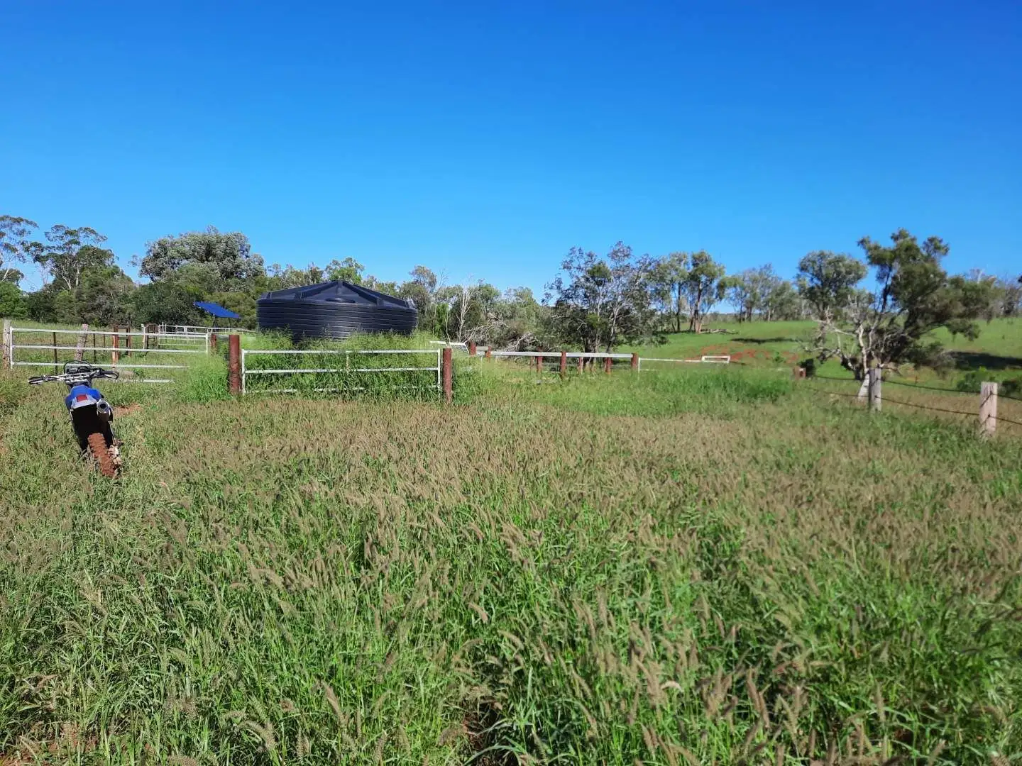 Main view of Homely rural property listing, 200 Lucy's Road, Goovigen QLD 4702