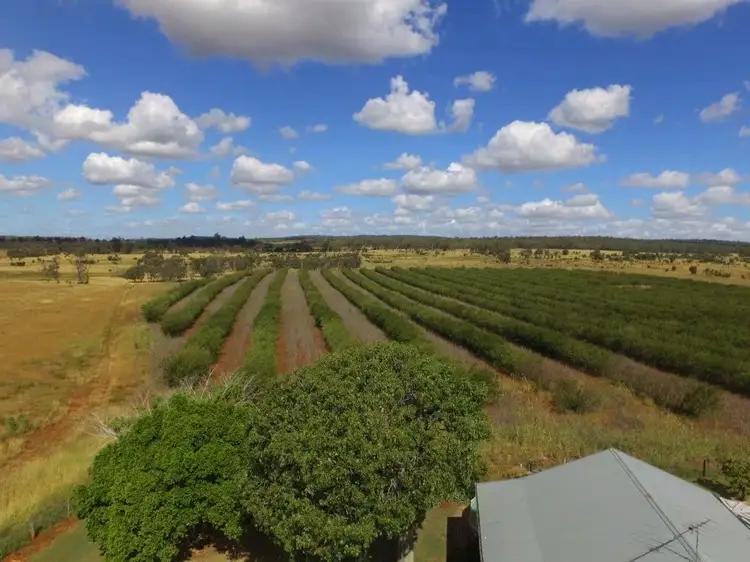 Second view of Homely rural property listing, 200 Lucy's Road, Goovigen QLD 4702