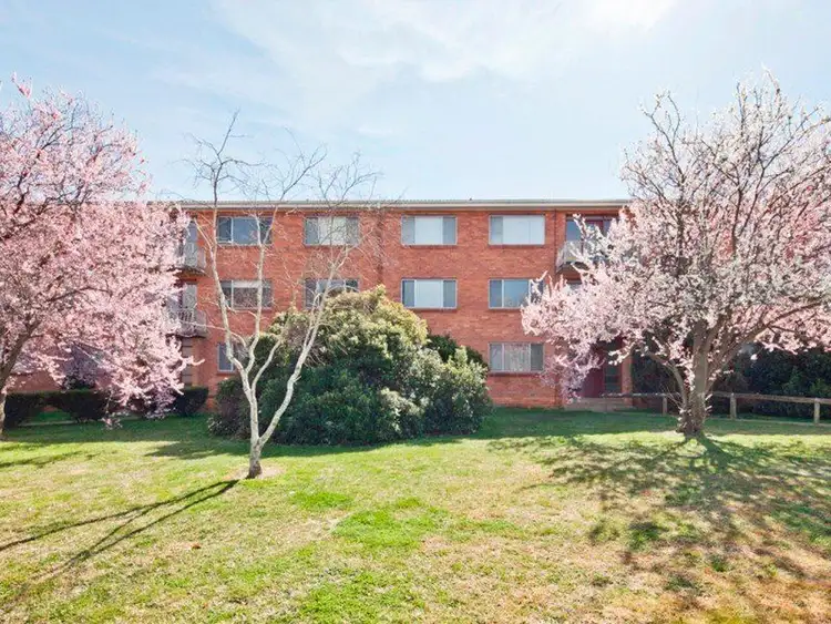 Main view of Homely apartment listing, 3/113 Knox Street, Watson ACT 2602